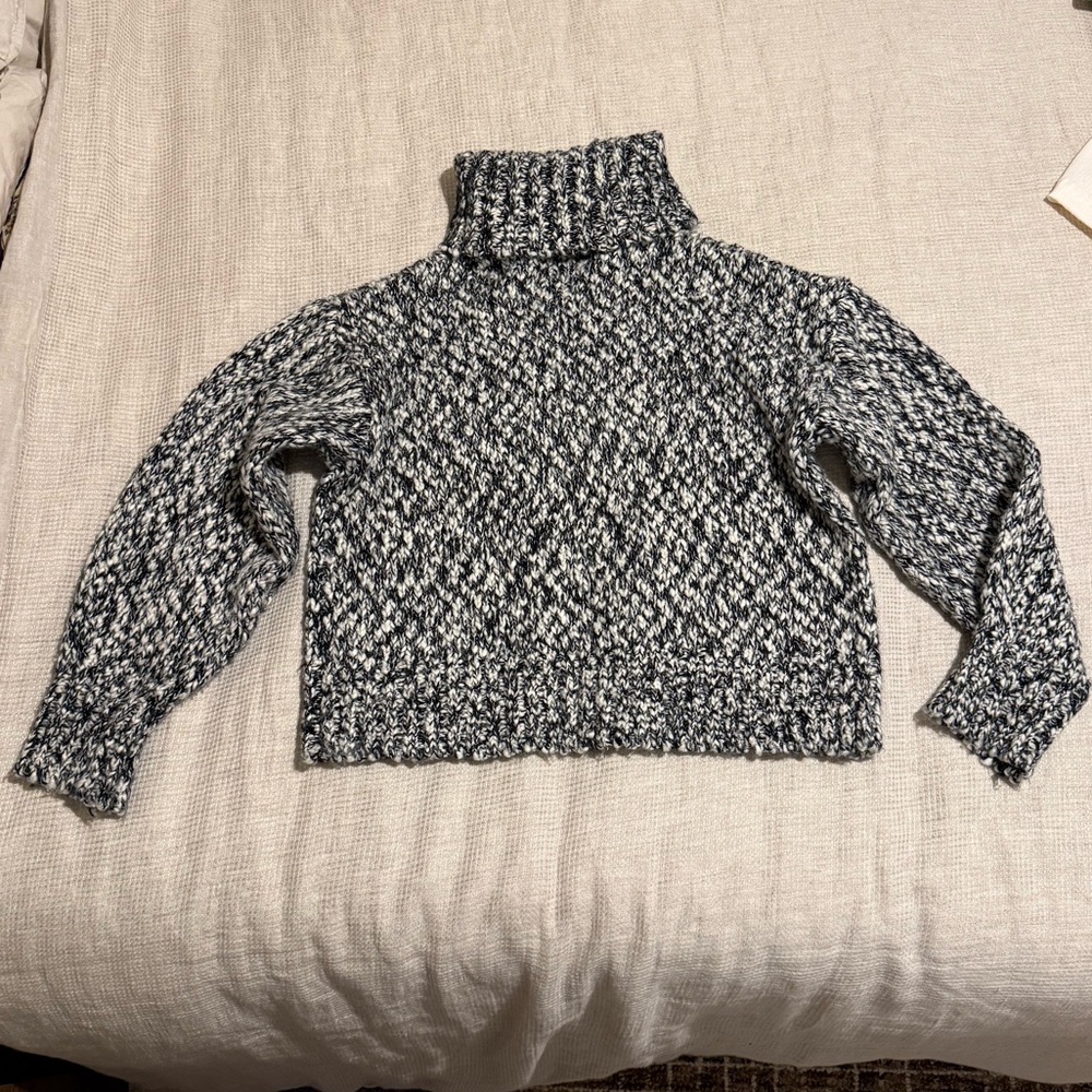 Knit Turtleneck Sweater